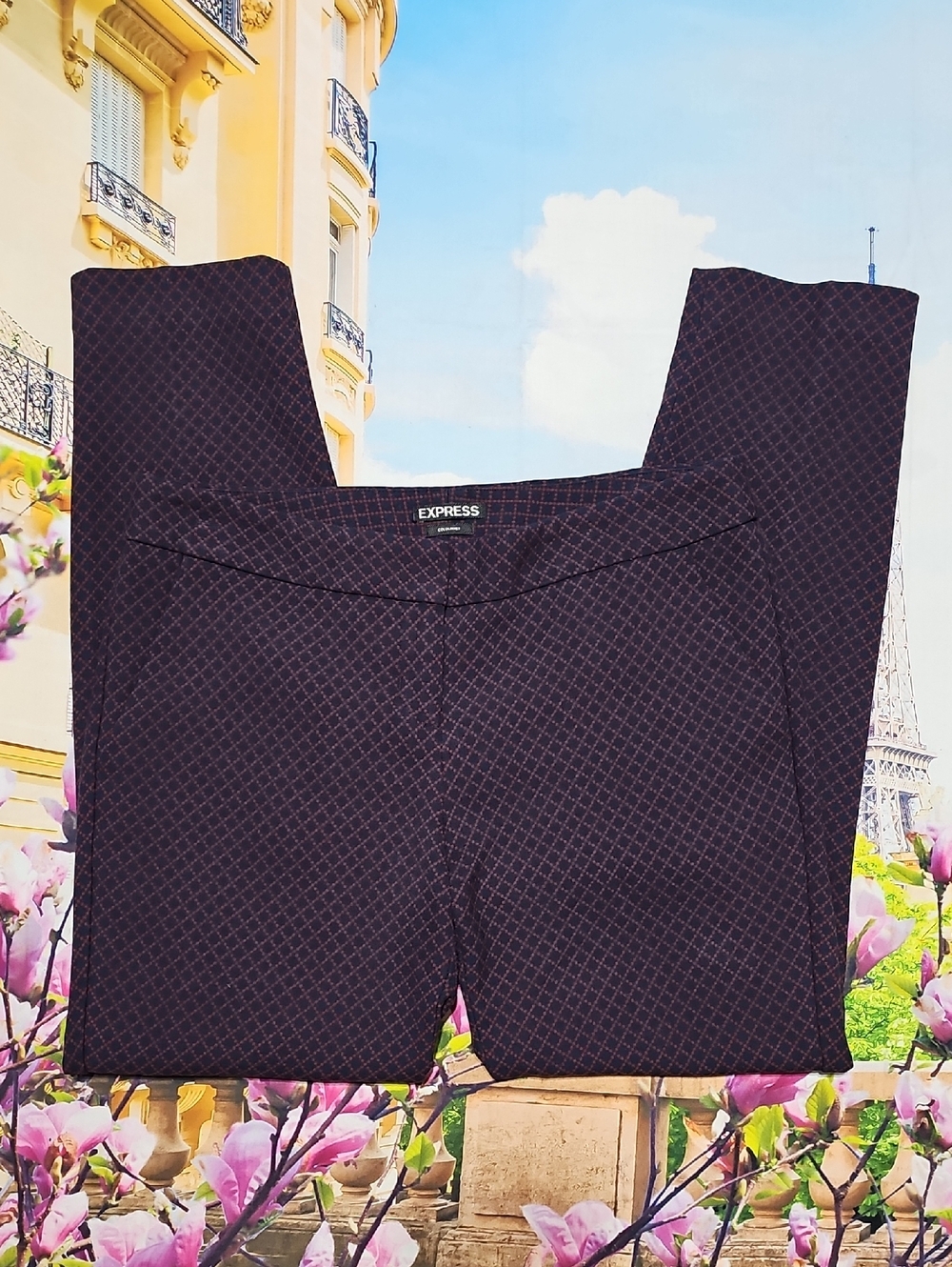 Express Columnist Dress Pants Size 6